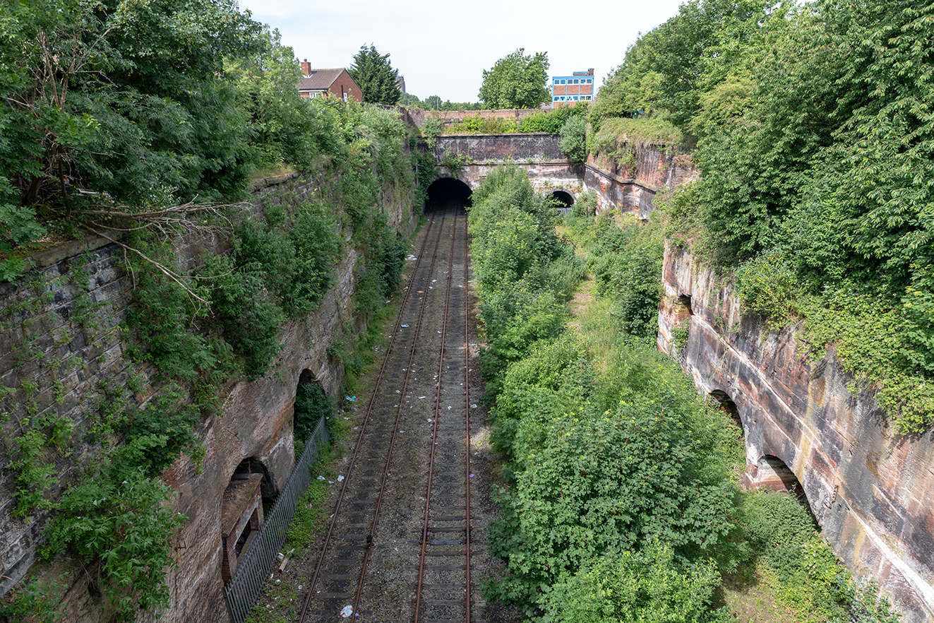 Twin tracks run through a deep, tree-lined cutting, disappearing into a tunnel framed by historic stonework.