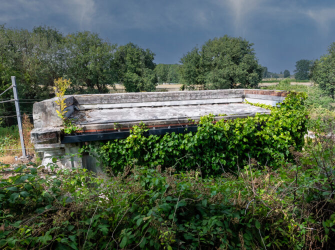 The flat roof and stone cornice of the Huskisson Memorial seen from above, partly surrounded by vegetation near the railway cutting.