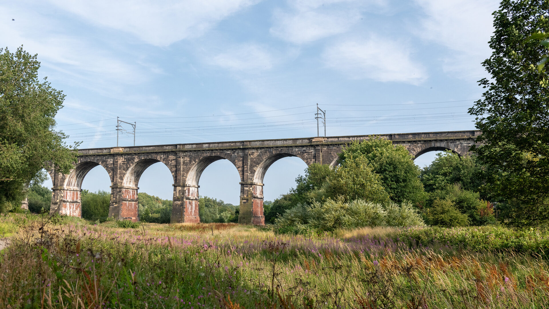 The viaduct rises above a field of grasses and wildflowers, showing its elegant curve across the valley.