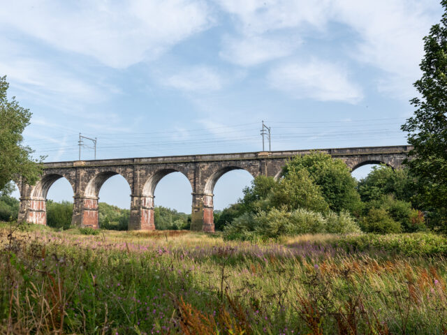 The viaduct rises above a field of grasses and wildflowers, showing its elegant curve across the valley.