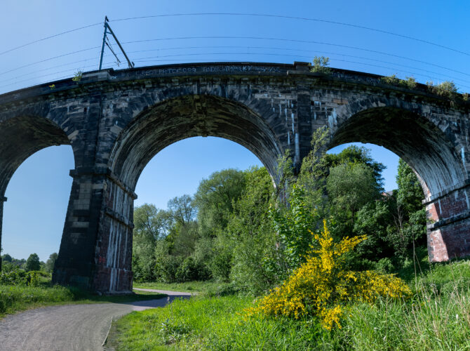 A wide panoramic view looking up at several arches of Sankey Viaduct as it crosses the green Sankey Valley.