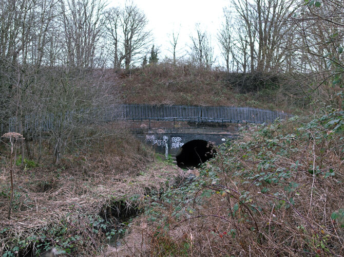A wide view showing the culvert entrance tucked into dense vegetation below the raised railway line.
